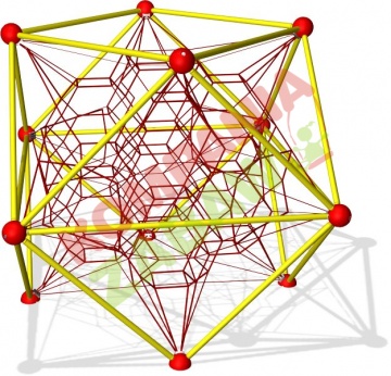 COR483301 - Frame Octa Net